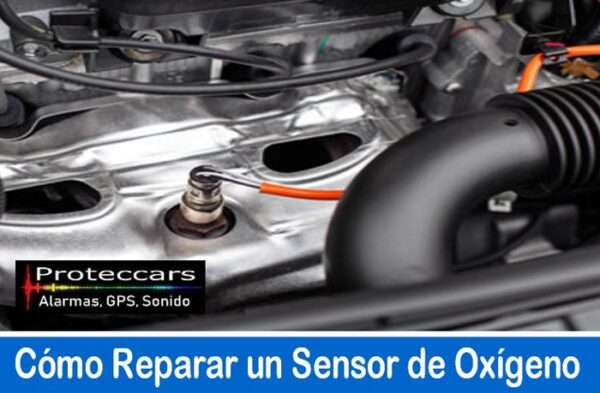 Cómo Reparar Un Sensor De Oxígeno En 6 Pasos 0806